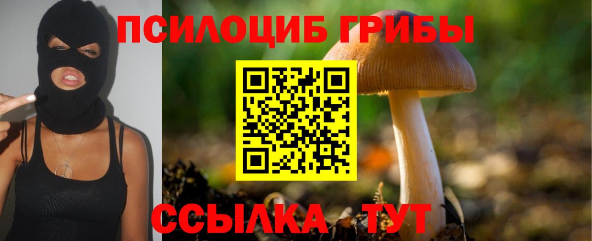Галлюциногенные грибы GOLDEN TEACHER  Вход с VPN  Ирбит 